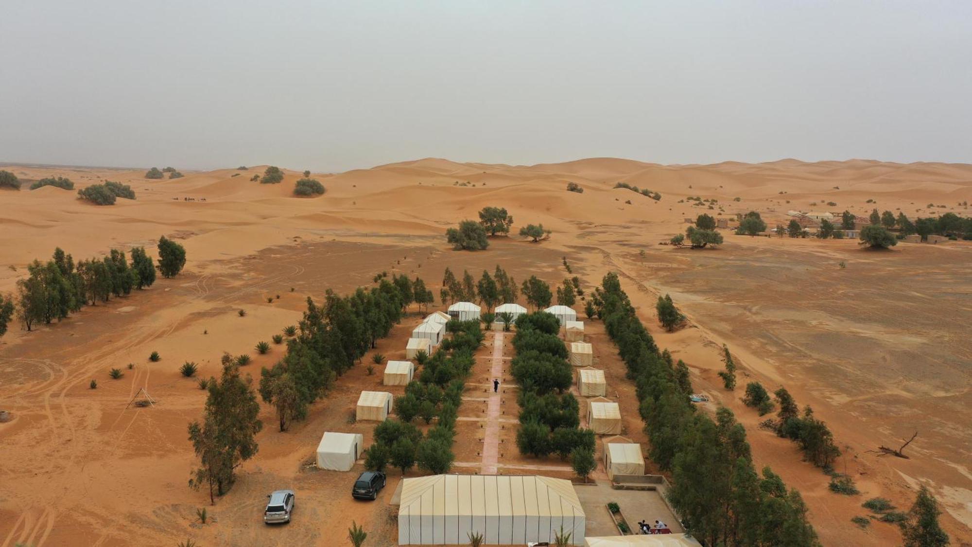 Trek Desert Morocco Sarl Taouz Exteriör bild
