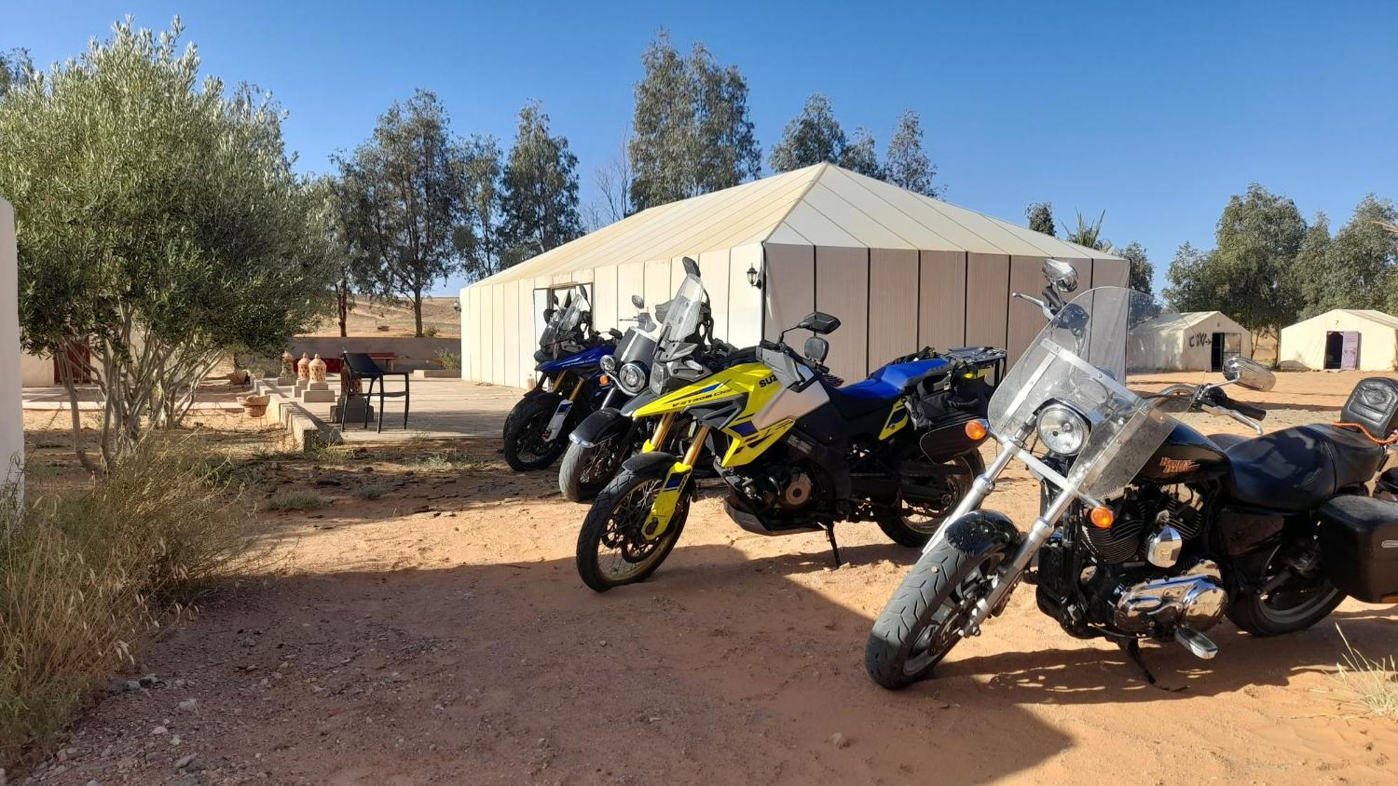 Trek Desert Morocco Sarl Taouz Exteriör bild